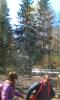 /photos/mini/1605/103/Photo_20160504130401_59.885343_29.917492_0kmh_77grad.jpg