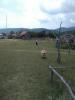 /photos/mini/1606/639/Photo_20160630111021_45.023506_35.136031_0kmh_0grad.jpg