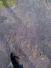 /photos/mini/1608/426/Photo_20160826191014_61.916318_30.624297_4kmh_152grad_c0.jpg